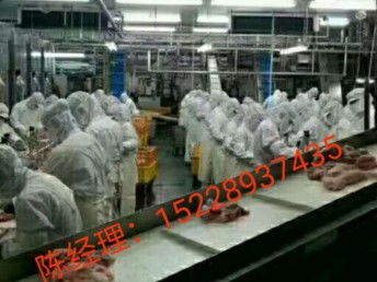出國勞務 抓住國外雇主直招機遇，建筑工與工廠普工月薪高達3.5萬，天津移民與建筑工程新選擇