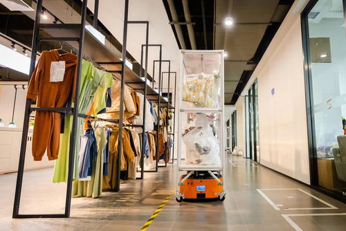 shein出海啟示錄 從打造服裝產業(yè)數字化到建出海高速路